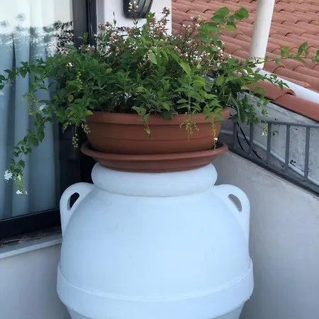 Casa vacanze & Sea